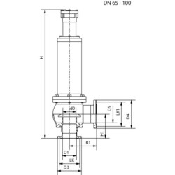 Запобіжний клапан DIN 11864-2 Liner/Nut AWH